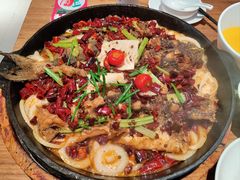 -老板恋上鱼(恒隆广场店)