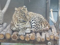 -西安秦岭野生动物园