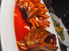 -醉庐·新上海菜(南京西路店)
