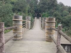 -铁山坪森林公园