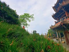 -湄洲岛
