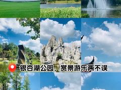 -南京银杏湖乐园