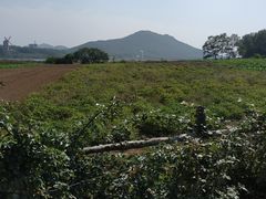 -大连铭湖国际观光牧场