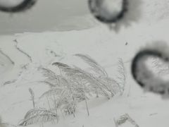 -雾凇岛