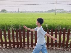 -喜洋洋蟹庄(阳澄湖店)