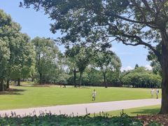 -上海滨江森林公园·停车场