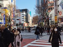 -涩谷区