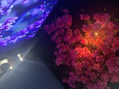 -新盈光·心院(嘉恒广场店)