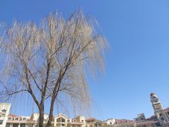 -沈阳于洪碧桂园凤凰酒店