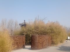 -东营园博园