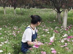 -云漫湖生态度假公园