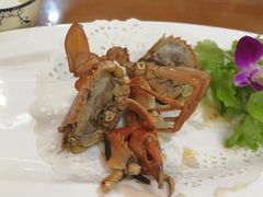 -友强·23年特色海鲜大排档(厦门店)