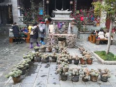 -寂照庵