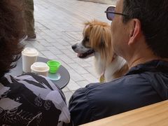 -DRUNK BAKER(上海陕康里店)