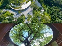 -云溪植物园