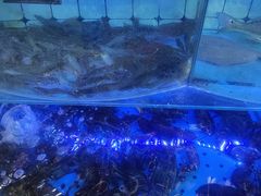 -日照大牌檔•小船海鲜(万平口店)