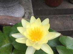 -中国蓝印花布馆