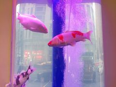 -金汤宴餐厅·粤菜(德云社店)