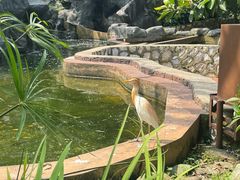 -吉隆坡雀鸟公园