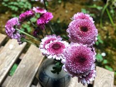 -归觅·西关小姐人文艺术馆(荔枝湾店)