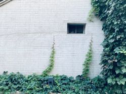 -颐和宾馆宴会厅