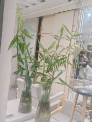 -菲·木田moontin造型salon