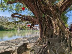 -云水谣景区