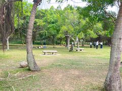 -深圳湾公园(南山区)