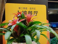 -大鸭梨(天通西苑店)