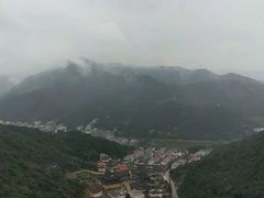 -黄贤森林公园