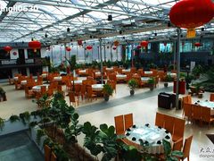 -龙凤山庄(永定镇店)