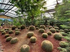 -呀路古热带植物园
