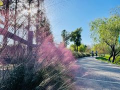 -前小桔亲子创意农场·草莓采摘·露营烧烤