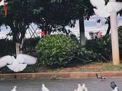 -南昌之星摩天轮