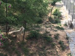 -石家庄市动物园