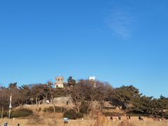 -八大关景区