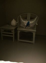 -奈瑞儿美养院·身体调养·美颜