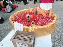 -宫城藏王狐狸村