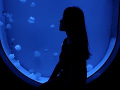 -福州罗源湾海洋世界旅游区