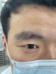 -眉毛攻略·专业修眉染眉野生眉