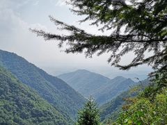 -东天目山风景区