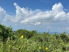 -灵山