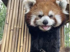 -秦皇岛野生动物园