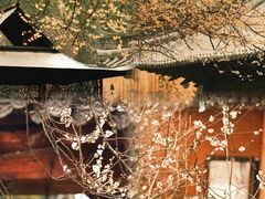 -天台山景区