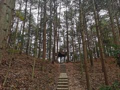 -四明山国家森林公园