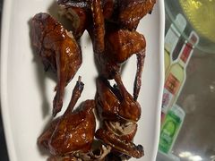 -东鸽皇(奥园·中环广场店)