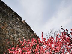 -阅江楼风景区
