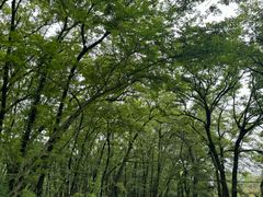 -西溪南古村落景区
