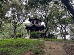 -上海市保健医疗中心