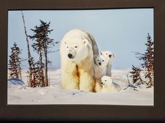 -罗红摄影艺术馆